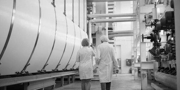 Informes Periciales Bullas · Informes Periciales de Ingeniería
